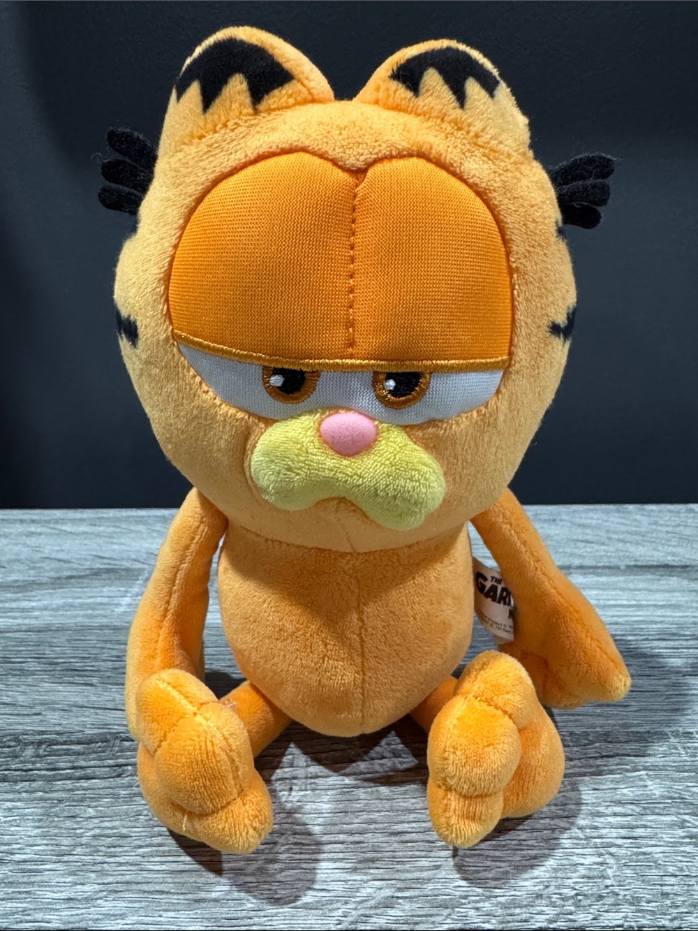 The Garfield Movie: Garfield Plush (2024) - Collectible 10” Plush Toy